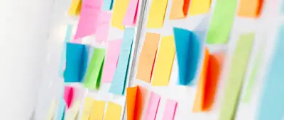 Organize_Spont