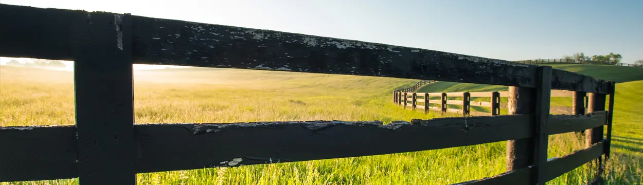 header__5__2